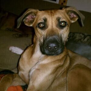 Meet your Posher, Cathy